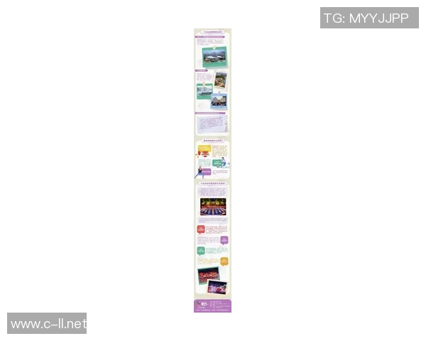 全运会的辉煌历程与未来展望：2025年全国运动会的荣耀与挑战解析